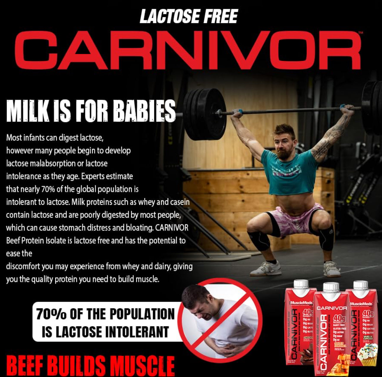 CARNIVOR PROTEINA