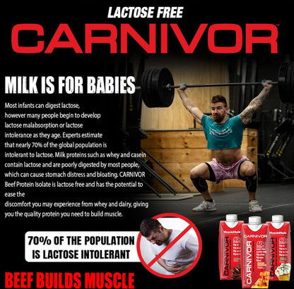 CARNIVOR PROTEINA